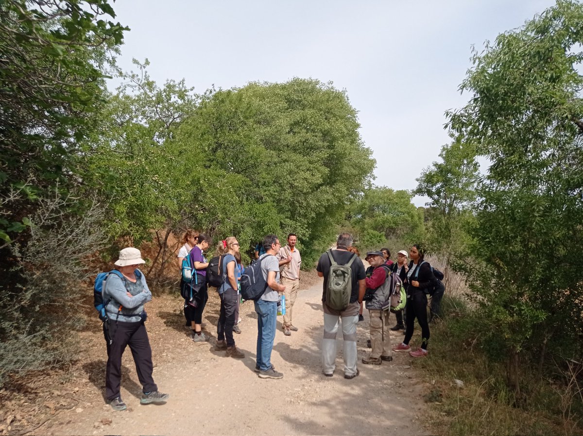 Tu ets entorns Terrassa! tweet media