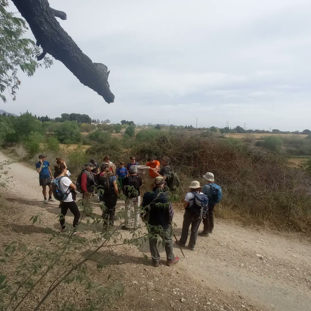 Tu ets entorns Terrassa! tweet media