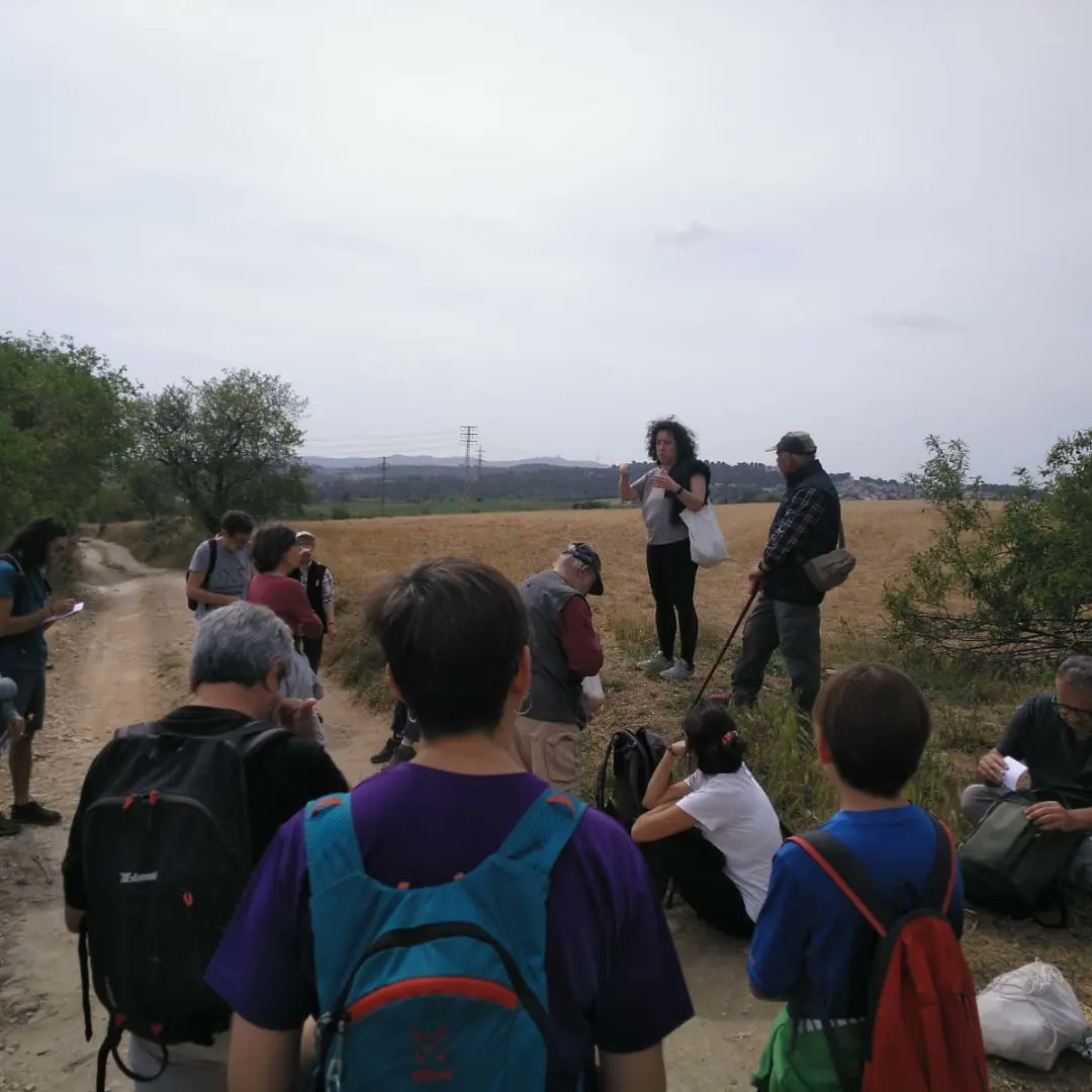 Molt agraïts al col·lectiu <a href="/eixarcolant/">Col·lectiu Eixarcolant</a> i <a href="/Adenc1982/">ADENC</a> per la sortida d'avui on hem pogut conèixer de la mà de l'Alejandro els valors que amaguen les plantes ruderals que creixen als terrenys amenaçats dels Bellots.
#salvemBellots
#SosValles