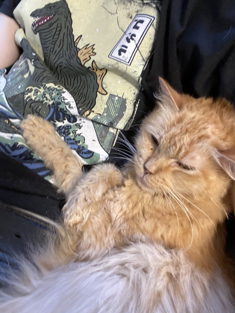 WyattsNSFW's tweet photo. we were watching youtube https://t.co/NezPl6PMtA