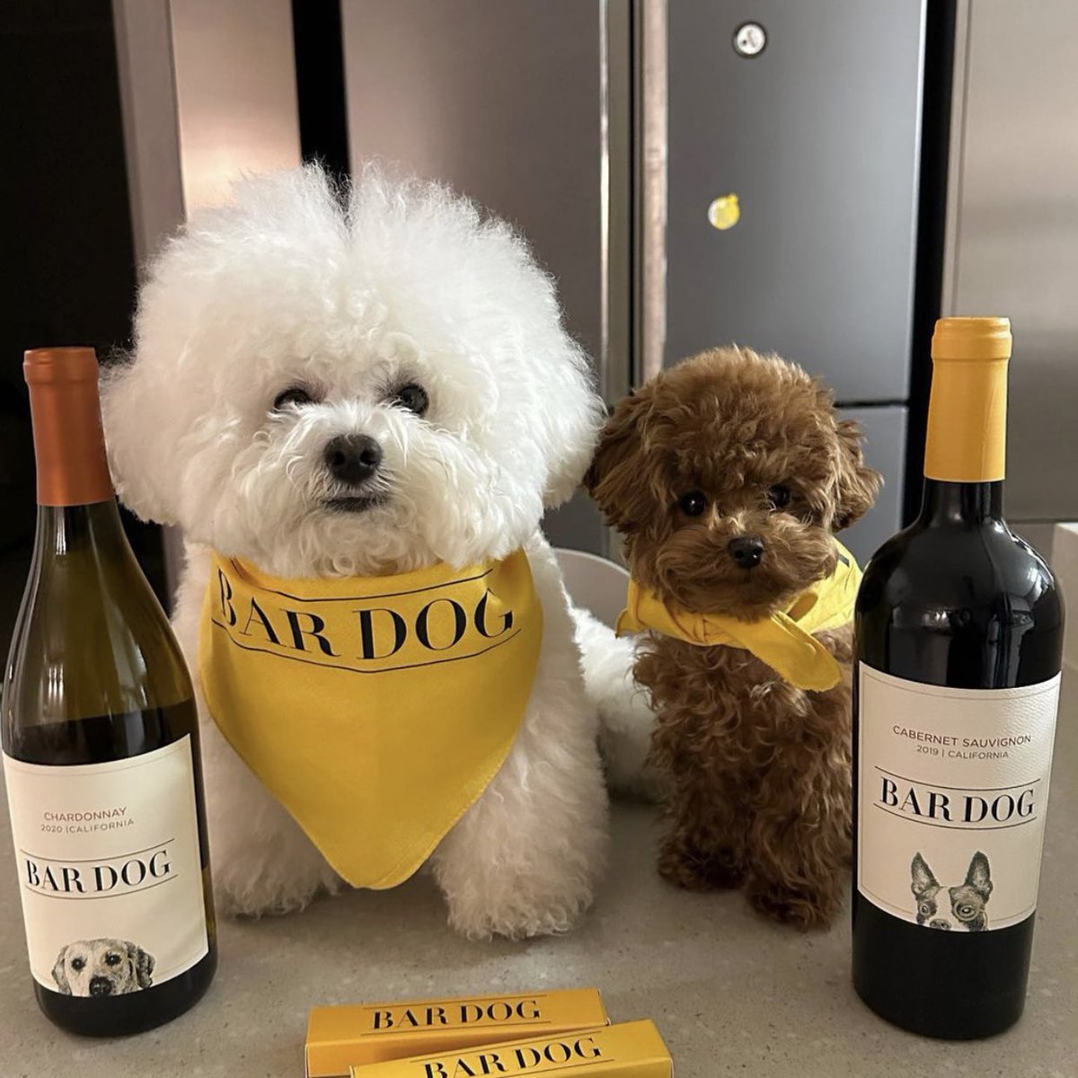 takemybear 🐶 tweet media