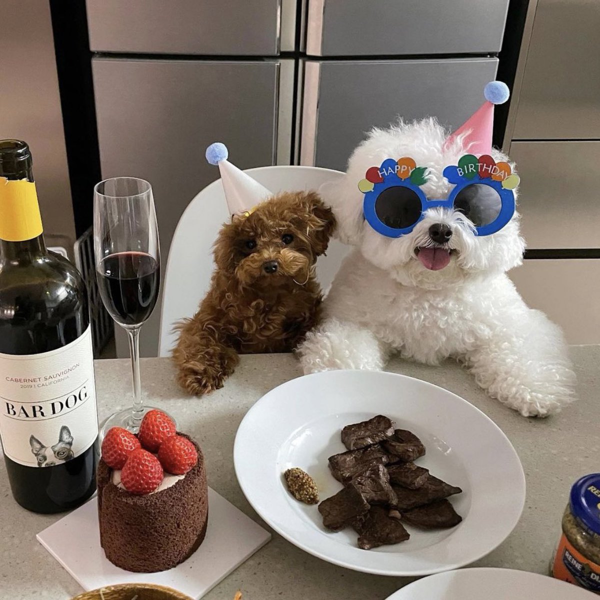takemybear 🐶 tweet media