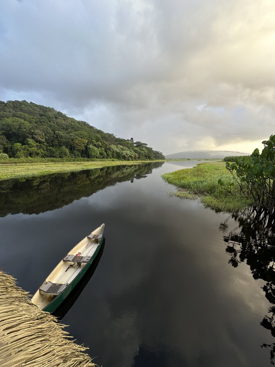 matishernandez7's tweet photo. 📍 FRENCH GUIANA https://t.co/4obWSxC5PR
