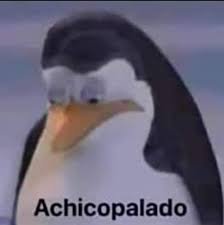 zap_cannons's tweet photo. Não foi dessa vez, familia. 😕
Perdemos a final. Foi por pouco, é triste, mas temos certeza que o @LNDsRargef fez o seu melhor e estamos orgulhosos com o resultado e até onde chegamos! GGWP!
Obrigado pela torcida, pode ter certeza que voltaremos mais fortes! #goZAP ⚡ https://t.co/C8zVXNQKzO