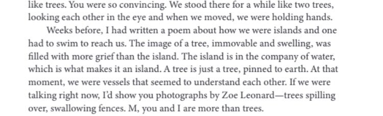 spaghettiutopia's tweet photo. friends! this essay, published in my last issue as IR's CNF editor, is so so stunning, as is all the work. @k_aekta taught me so much about longing, asymmetry, waywardness, language, trees, monarch butterflies +++ with this essay, and it was an instant yes for me. read it! https://t.co/NKcfSnIhqC