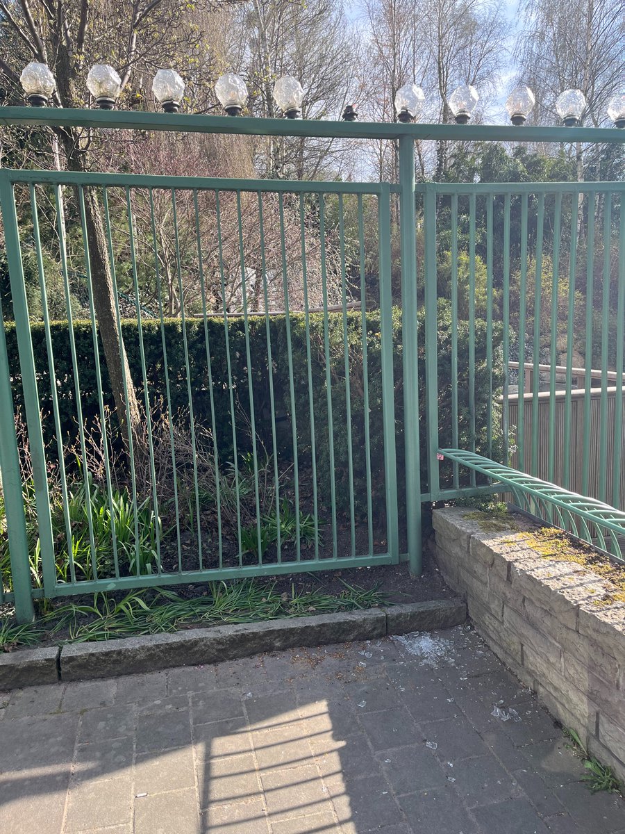 Rashid Farivar tweet media