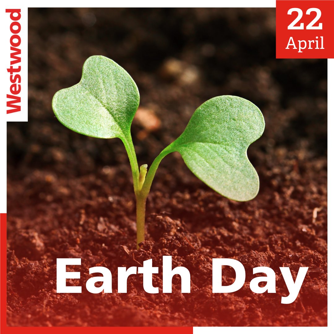 westwoodps's tweet photo. We join in the partnership for the planet on #EarthDay. We act boldly, innovate, and invest in our planet through sustainable infrastructure and clean energy.

#Innovate #ActBoldy #InvestInOurPlanet #Westwood #SolarEnergy #WindEnergy #TransformTheGrid https://t.co/DElznDtxor