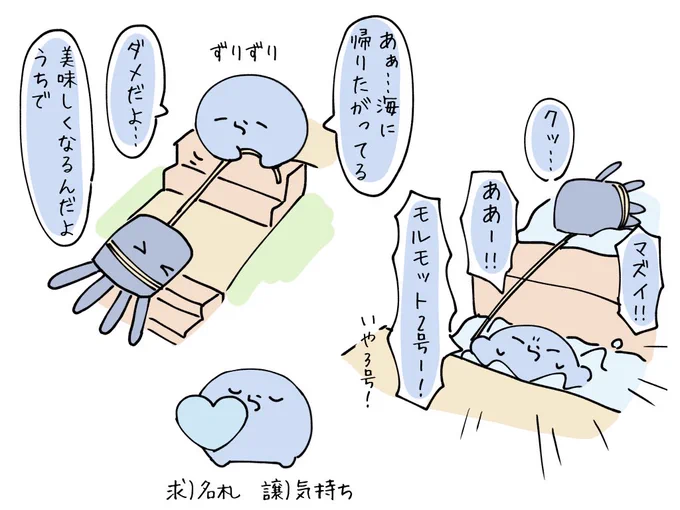 #い・らくすと イカ捕まえる偏 https://t.co/toE2Hwz28p