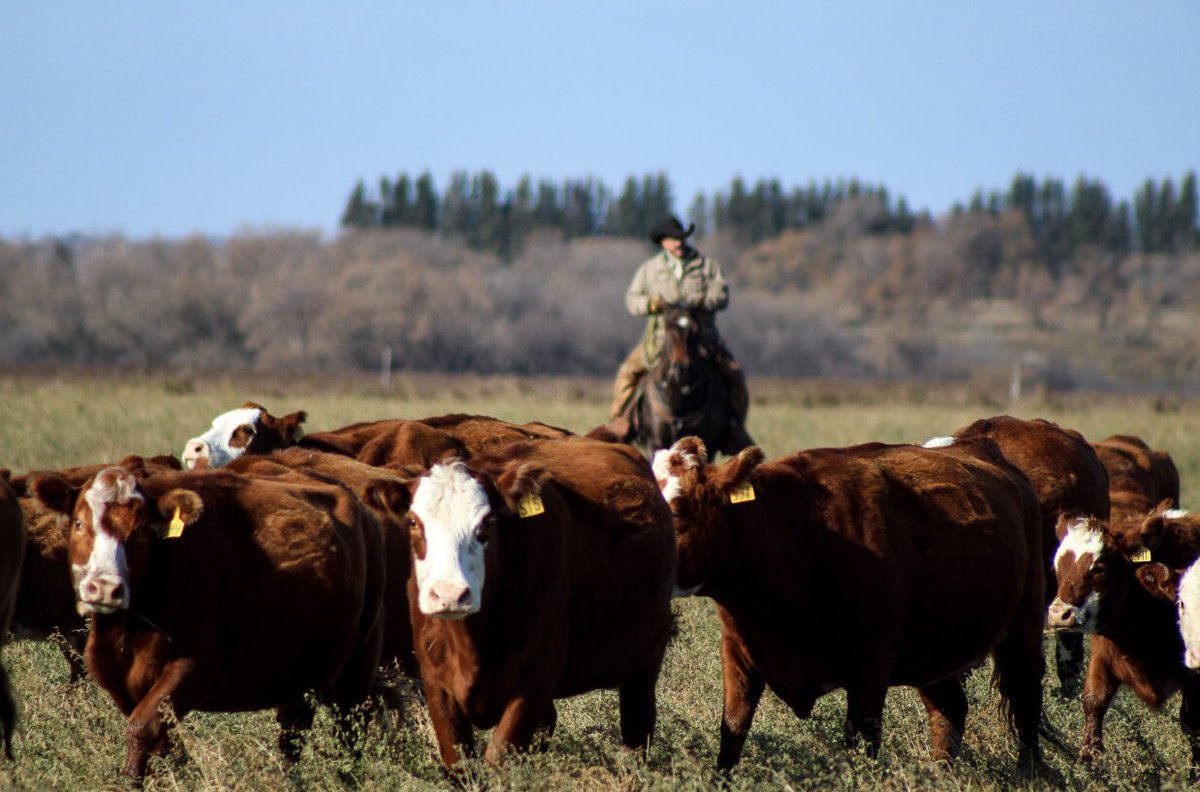 Bryce Messner tweet media