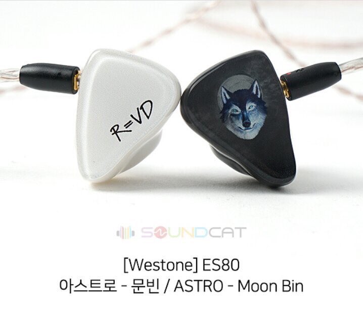 aroharoxy's tweet photo. moonbin mentioned he would like to be a wolf when he’s reborn because he thinks they’re charming and cool. he said “there's a drawing of a wolf on one side of my in-ear. when a male wolf gets married, they only look at one female for life, I think that kind of mindset is cool” https://t.co/CtRGMXtTLj