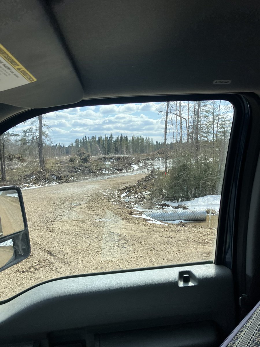 4FAngusBoy's tweet photo. See this on my way to a bull delivery and I’m thankful we have developed a bush EPD on our cattle. It helps pine needle digestion, defensive wolf strategies and overnight survival techniques #bushtalk #bushepd #survivorman https://t.co/YGFgg1tJPd