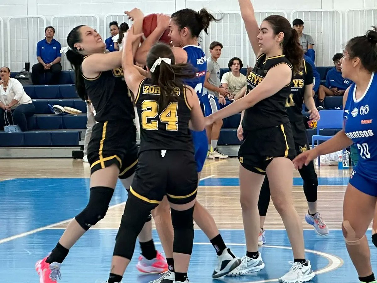 CONADEIPmx's tweet photo. 🏀🏆 ¡CAMPEONAS! 🏆 Tec Mty CEM se impone al CETYS por 61-43, en la gran final del Campeonato Nacional de Basquetbol Juvenil C 2023.
¡Felicidades @ITESMCEM! 👏
#BasquetbolCONADEIP https://t.co/CdVHZLakag