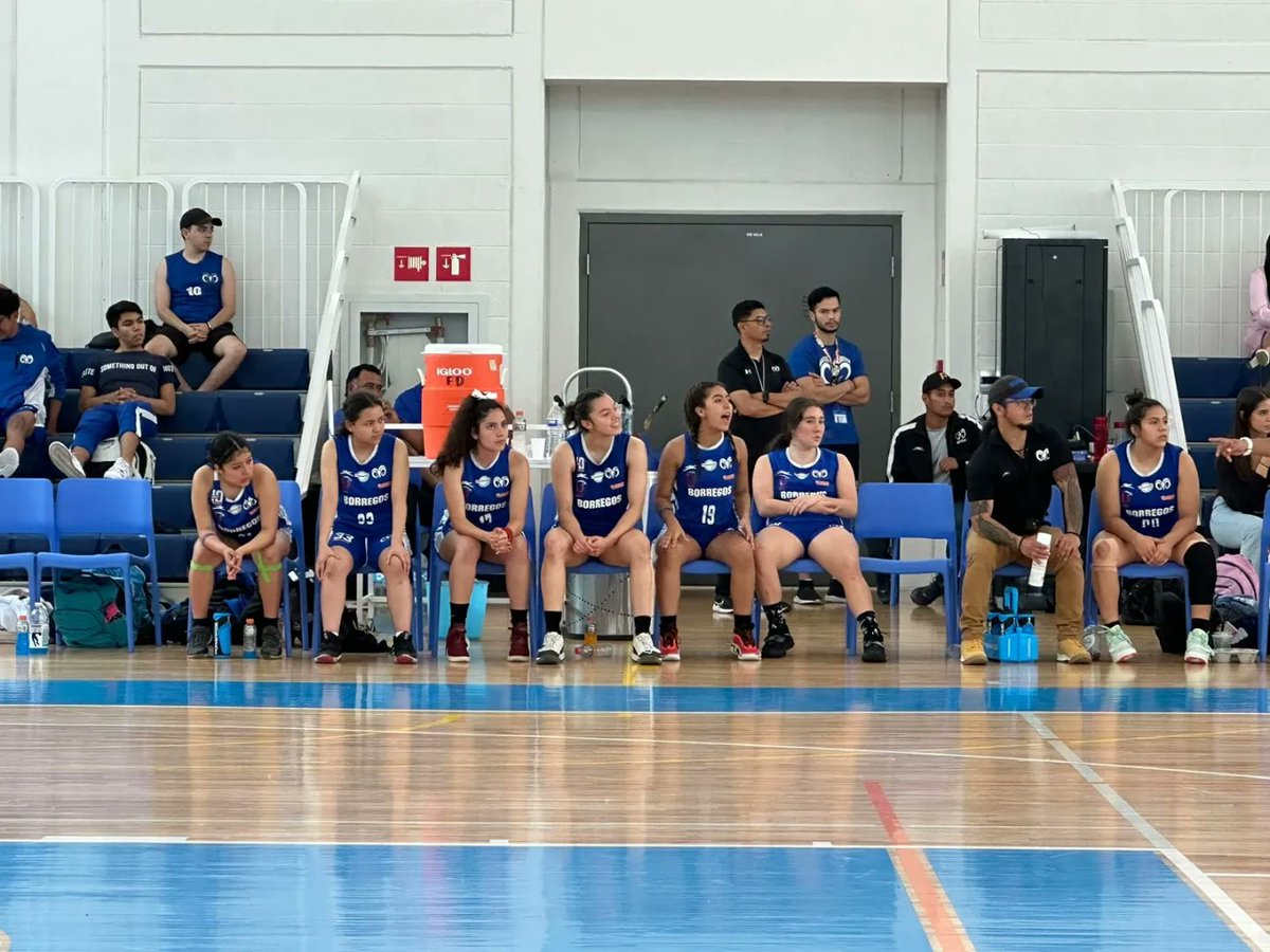 CONADEIPmx's tweet photo. 🏀🏆 ¡CAMPEONAS! 🏆 Tec Mty CEM se impone al CETYS por 61-43, en la gran final del Campeonato Nacional de Basquetbol Juvenil C 2023.
¡Felicidades @ITESMCEM! 👏
#BasquetbolCONADEIP https://t.co/CdVHZLakag
