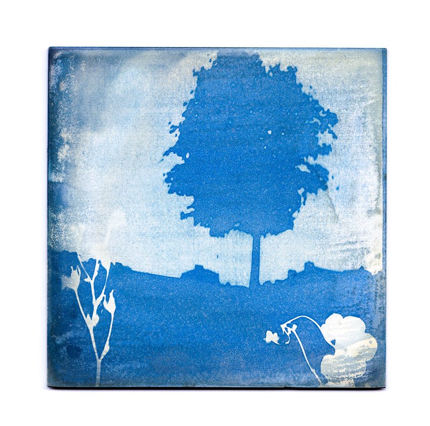 maverickart's tweet photo. Tile 1, 2018, Pinhole photograph printed on biscuit fired ceramic tile using cyanotype photography process
for #wearexperimenting project
#cyanotype #altprocessphotography #pinholephotography https://t.co/K7iNzL86HF