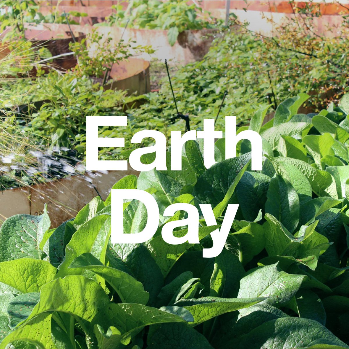 HealthintheHood's tweet photo. Happy #EarthDay from all of us at Health in the Hood! Today, we encourage everyone to take action in their own way- whether it’s volunteering at a community garden, reducing food waste at home, or advocating for climate action. Let’s commit to the earth today and everyday 🌿 https://t.co/qHBGgXR363