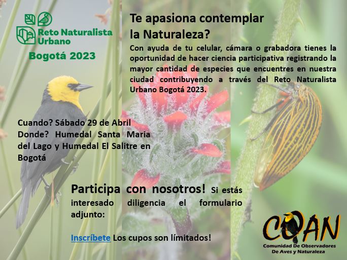 COAN_Natureando's tweet photo. Te gusta conocer y contemplar la naturaleza a tu alrededor? COAN te invita a participar del Reto Naturalista Urbano este sábado 29 de abril, en el cual podrás aprender sobre la biodiversidad urbana y aportar a su conocimiento. Inscríbete aquí! https://t.co/1rzWnreWVx https://t.co/BxzKsRejPi
