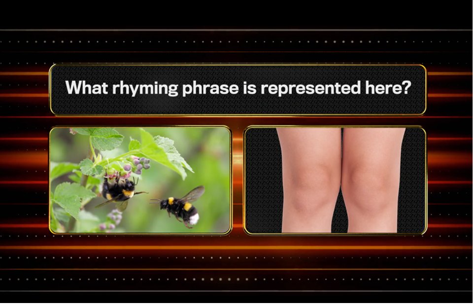 1PercentClubITV's tweet photo. But ‘wasps legs’ doesn’t rhyme??? #The1PercentClub https://t.co/H2yL9xUUbD