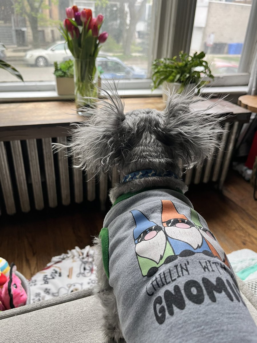 Aussieshell4 tweet media