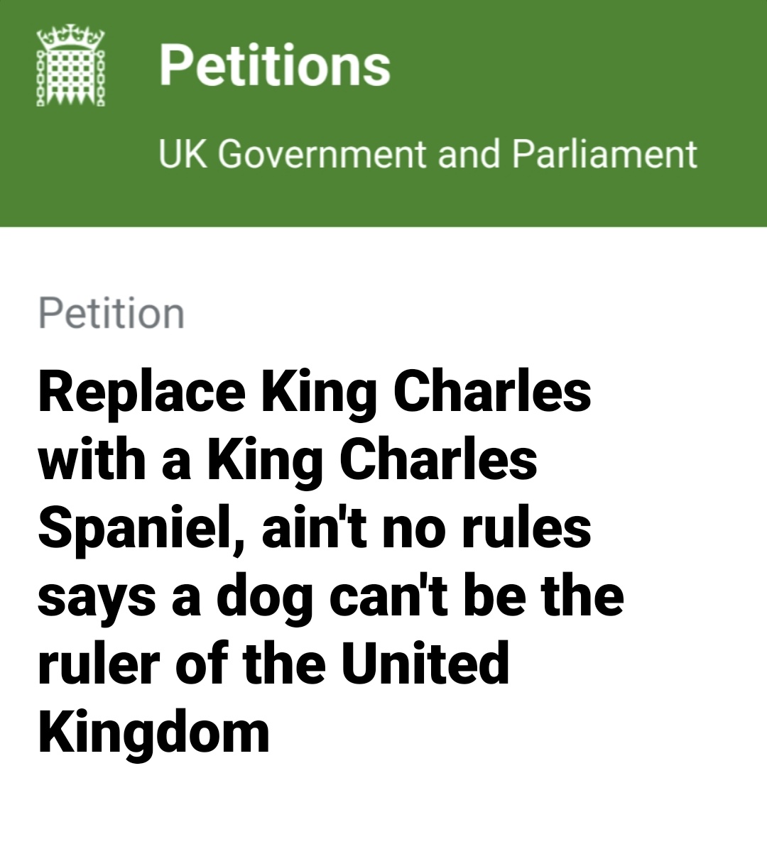 reni 🦌🫜 tweet media