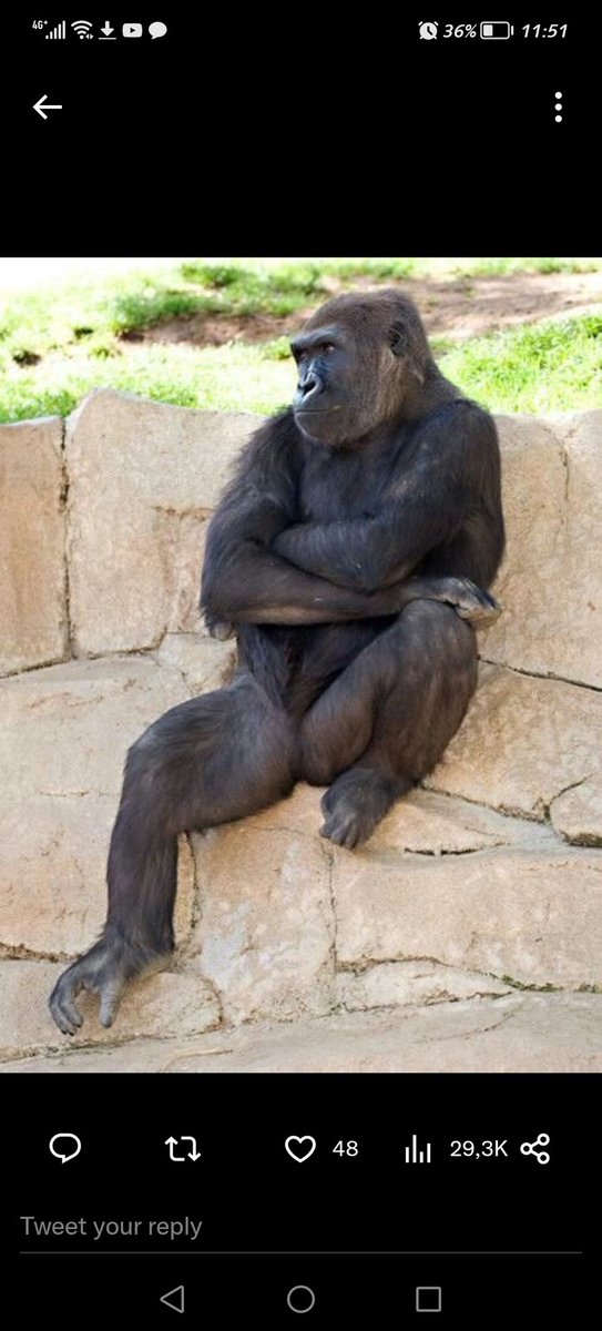 mjolo_memes's tweet photo. Uzenzele isthembu sakho in private kuthiwe uya cheater. Life no balance. https://t.co/Zn6N8njMne