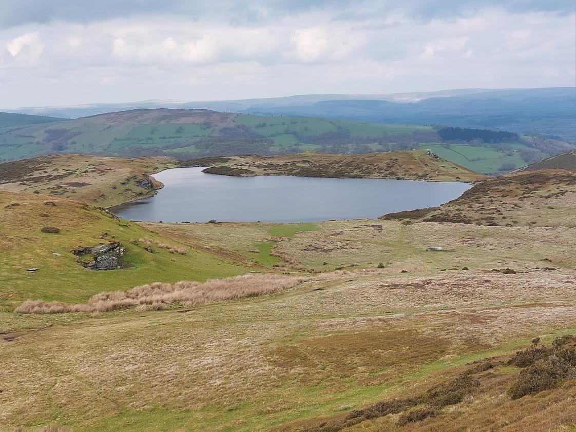 AWB on Twitter "Lovely walk on the hills above Builth Wells today
