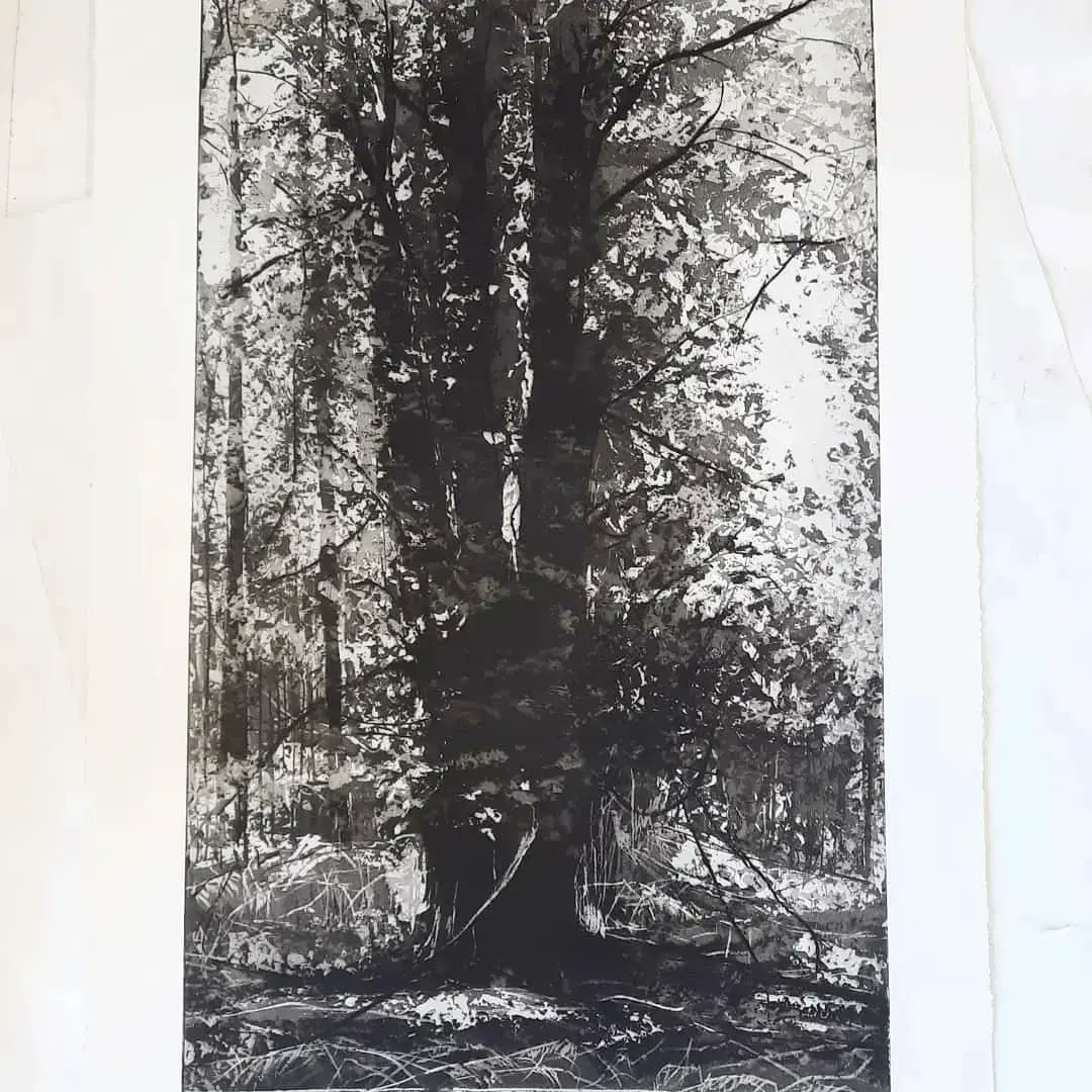 Happy Earth Day 🌎 🌿🌳💚

To celebrate the beauty of our natural world here's an etching of a gorgeous tree in Clifford's Woods