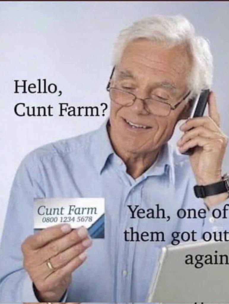 Whitaker Trebella 🎹 tweet media