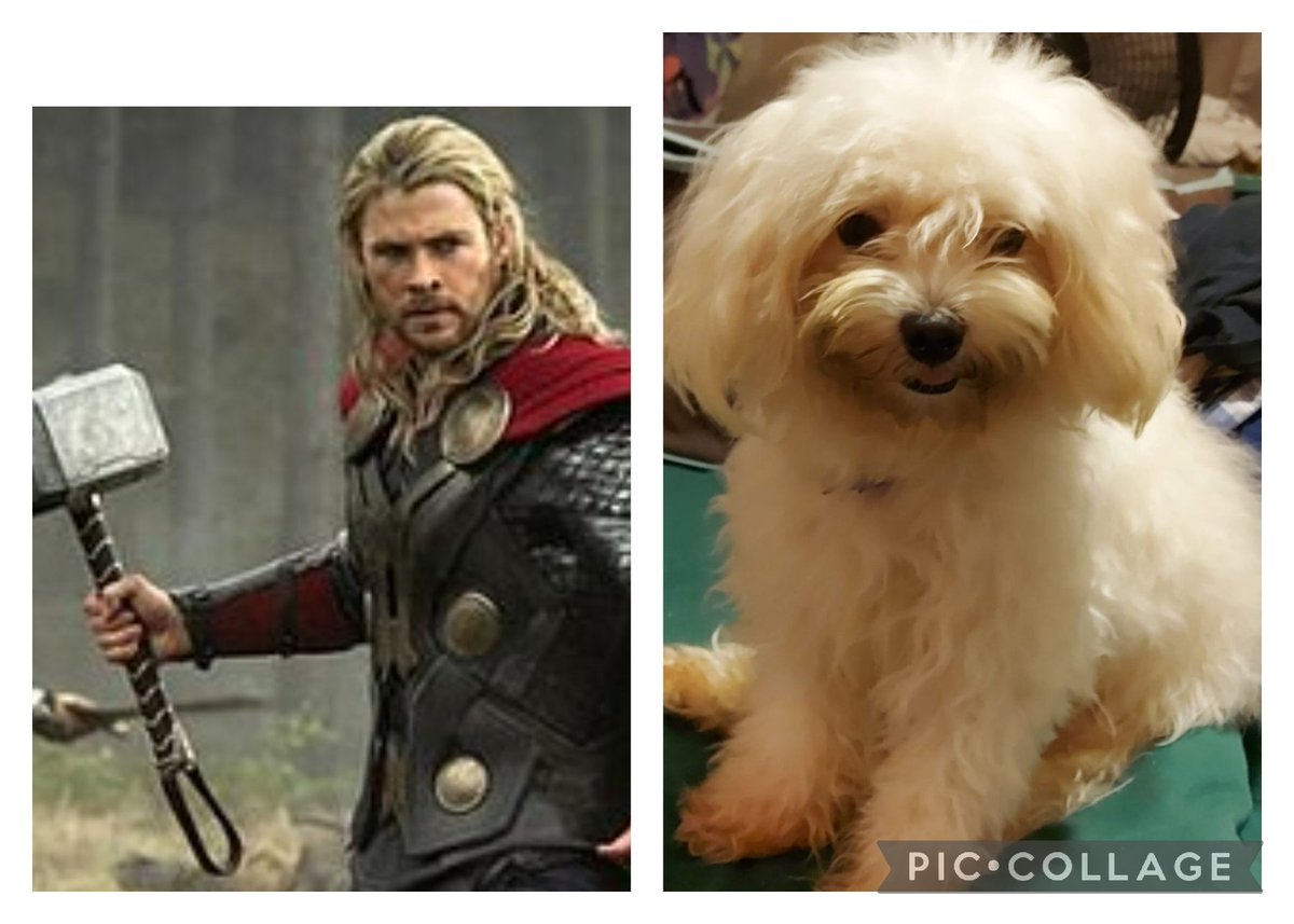 ElithTristan's tweet photo. Thor/Thor https://t.co/bTvcJc910P