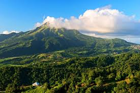 Dans ses poèmes, ses essais, ses romans, les personnages seront souvent des non-humains — le vent, une rivière, un delta, un serpent, de grands arbres… —, tous iront à même la roche de son langage comme des forces signifiantes.