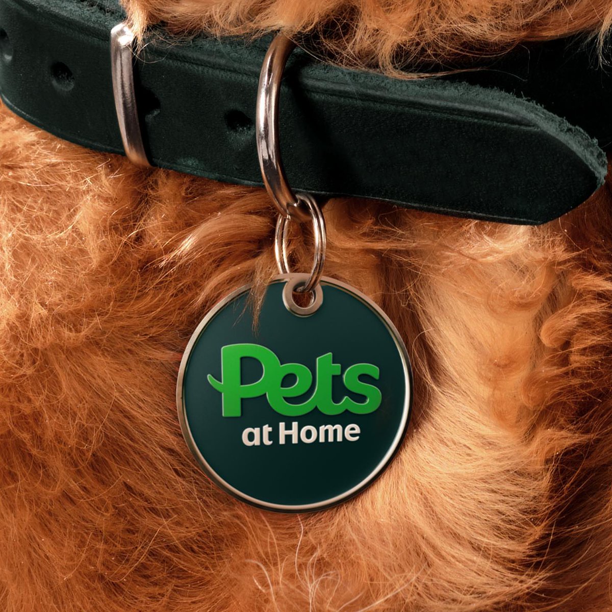 Visuelleuk's tweet image. Pets at Home by @nomad_studio__ 
visuelle.co.uk/pets-at-home