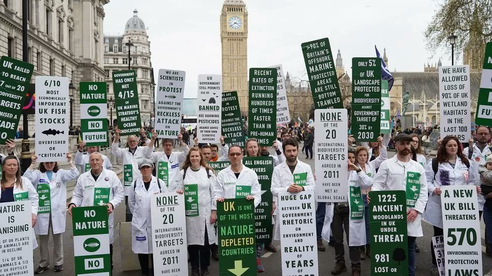 MrMatthewTodd's tweet photo. These are real scientists protesting. There's almost no one in the media speaking up passionately about this - apart from those you'd expect - so I cant see how we have any hope of saving ourselves. Most people are choosing the collapse pathway through apathy. It is what it is. https://t.co/T9LZqn650R