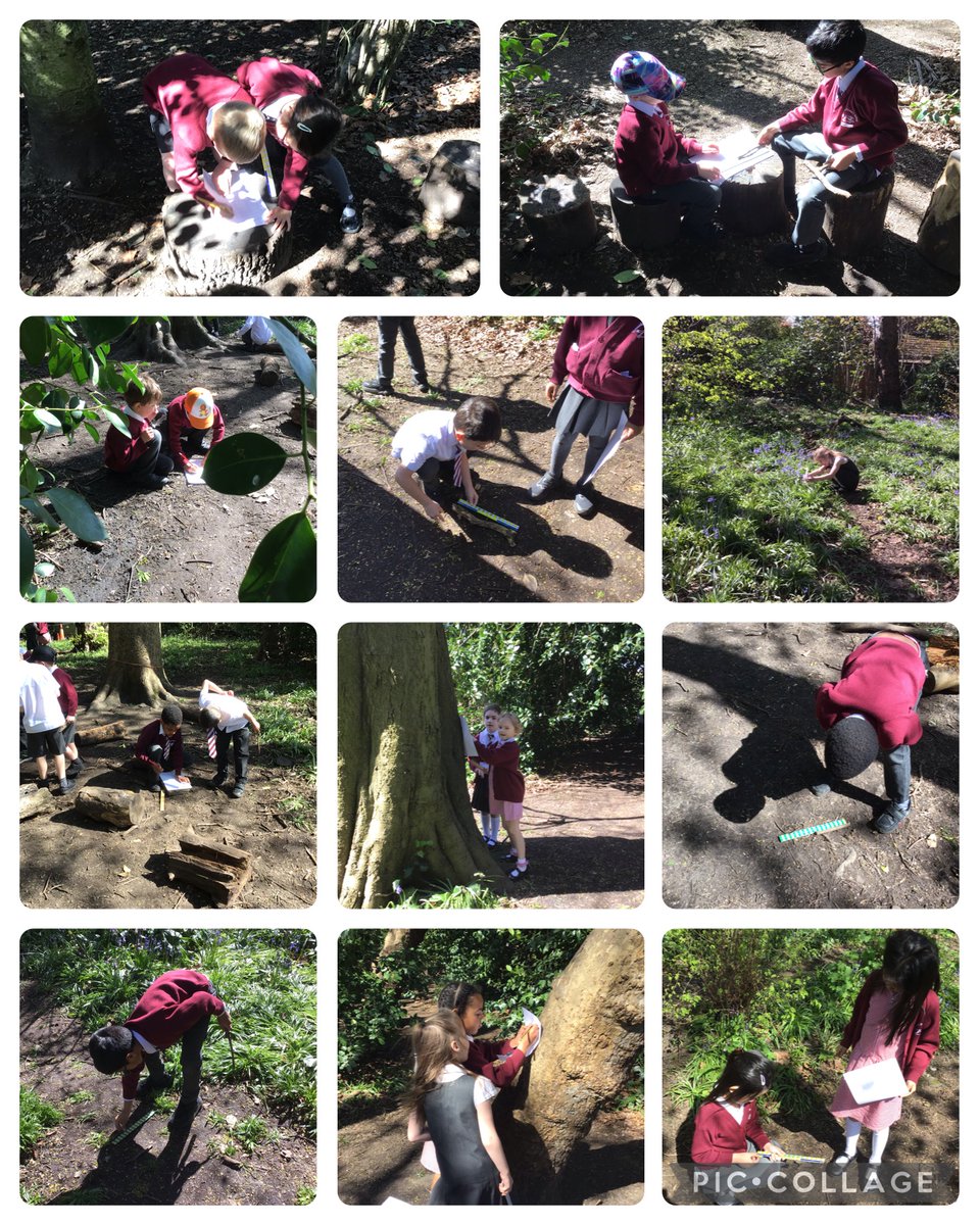 TyntesfieldCM's tweet photo. On a beautiful spring day we decided to take our learning outside. We used our new skill of measuring with a ruler to find the length of all sorts of natural materials. https://t.co/ypXufG1r3r