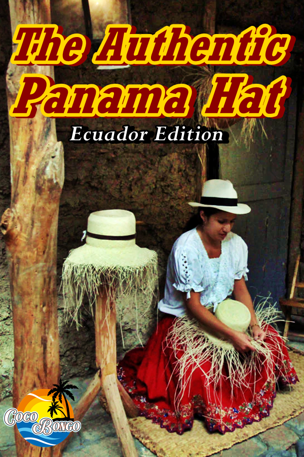 Did you know that the world-renowned #Panamahat actually originates from #Ecuador? Hand-woven with #toquillastraw, these hats are a true testament to the country's rich #artisanal heritage. Get your authentic #travelsouvenir and add a touch of elegance to your wardrobe.