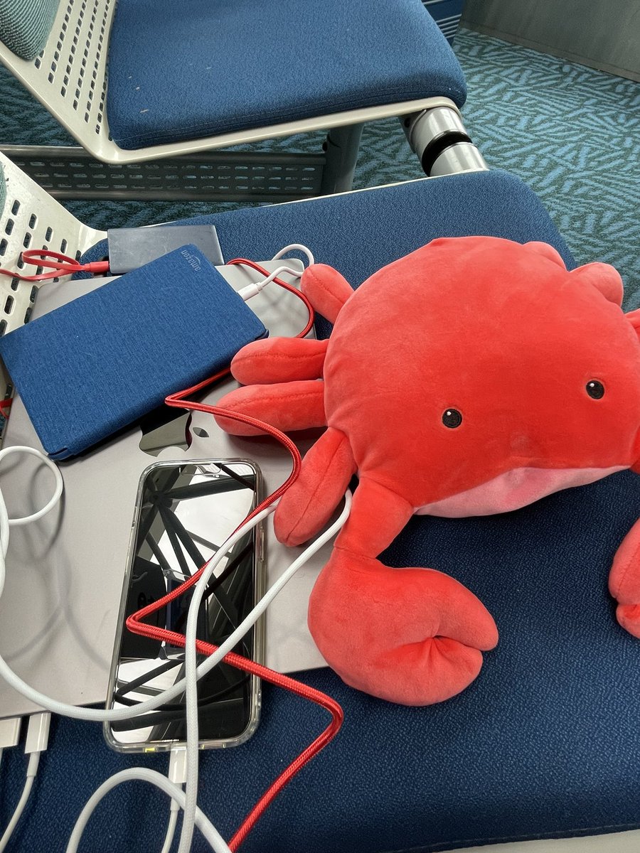 webchick's tweet photo. Sooo excited 🤩 in my first week at @aiven_io to be on my way to Portugal 🇵🇹 for #CrabWeek 2023! Along with my trusty travel companion, #Crabby. 😂 https://t.co/ZMdtnY4KoK