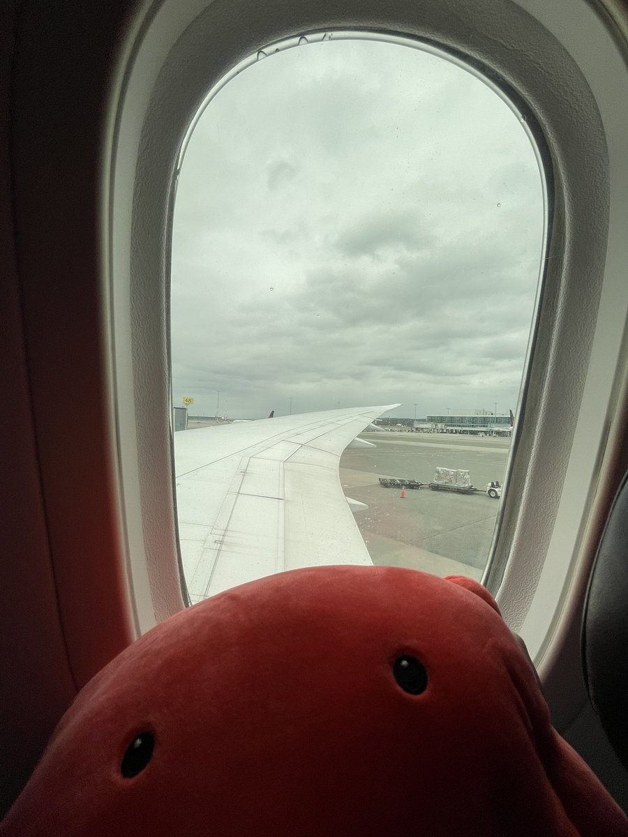 webchick's tweet photo. Sooo excited 🤩 in my first week at @aiven_io to be on my way to Portugal 🇵🇹 for #CrabWeek 2023! Along with my trusty travel companion, #Crabby. 😂 https://t.co/ZMdtnY4KoK