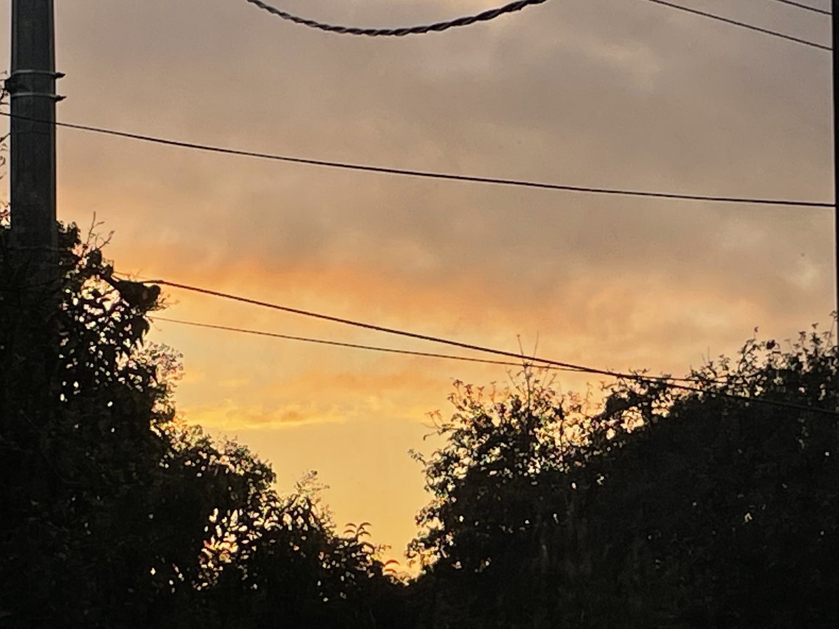 djp1974's tweet photo. See, I live. On what?
Childhood and future are equally present.
Sheer abundance of being
floods my heart.
- #Rilke, from the '#NinthElegy', tr. #StephenMitchell https://t.co/xda2UffE9Z