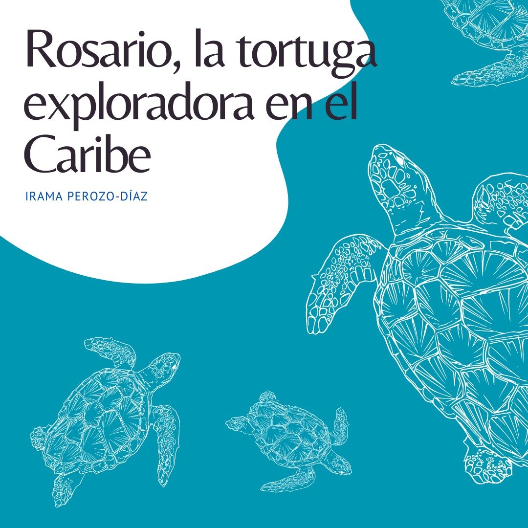 Relato sobre 'Las aventuras de Rosario la tortuga exploradora' para conmemorar la semana de la sostenibilidad 2023 #CicloSiete @funcoriacea @CASAMiNKA (continúa en el hilo)
.
.
.
#concurso #InteligenciaArtificial #tortugasmarinas #midjourney