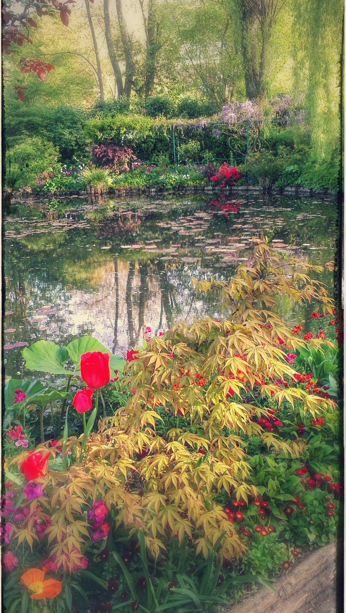 Happy #EarthDay...

"The Earth does not belong to man; man belongs to the #Earth. All things are connected like the blood that unites us all. Man did not weave the web of life; he is merely a strand in it." ~ Chief Seattle

#SDGs #Sustainability #Nature

Photo ©Michele Atwater