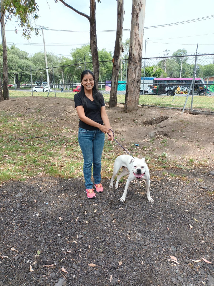 LetyVarela's tweet photo. De L a V dedico unas 4 horas para convivir y pasear a 🐕 de Brigada @SSC_CDMX y créanme que ¡es cansado!

Por ello agradezco infinitamente el apoyo que brindan los fines de semana nuestr@s #Padrin@s 

Si quieres participar en este programa semanal, repórtate aquí y te digo qué hacer