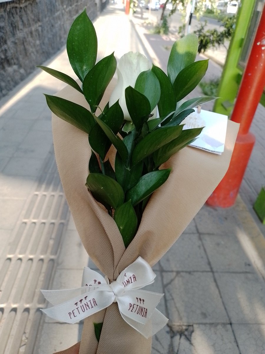 AuxMJCMRS's tweet photo. Yendo a la despedida más triste de mi vida 😞 Te amare siempre mi bello Moonbin 🤍 https://t.co/onAXNyhiDO