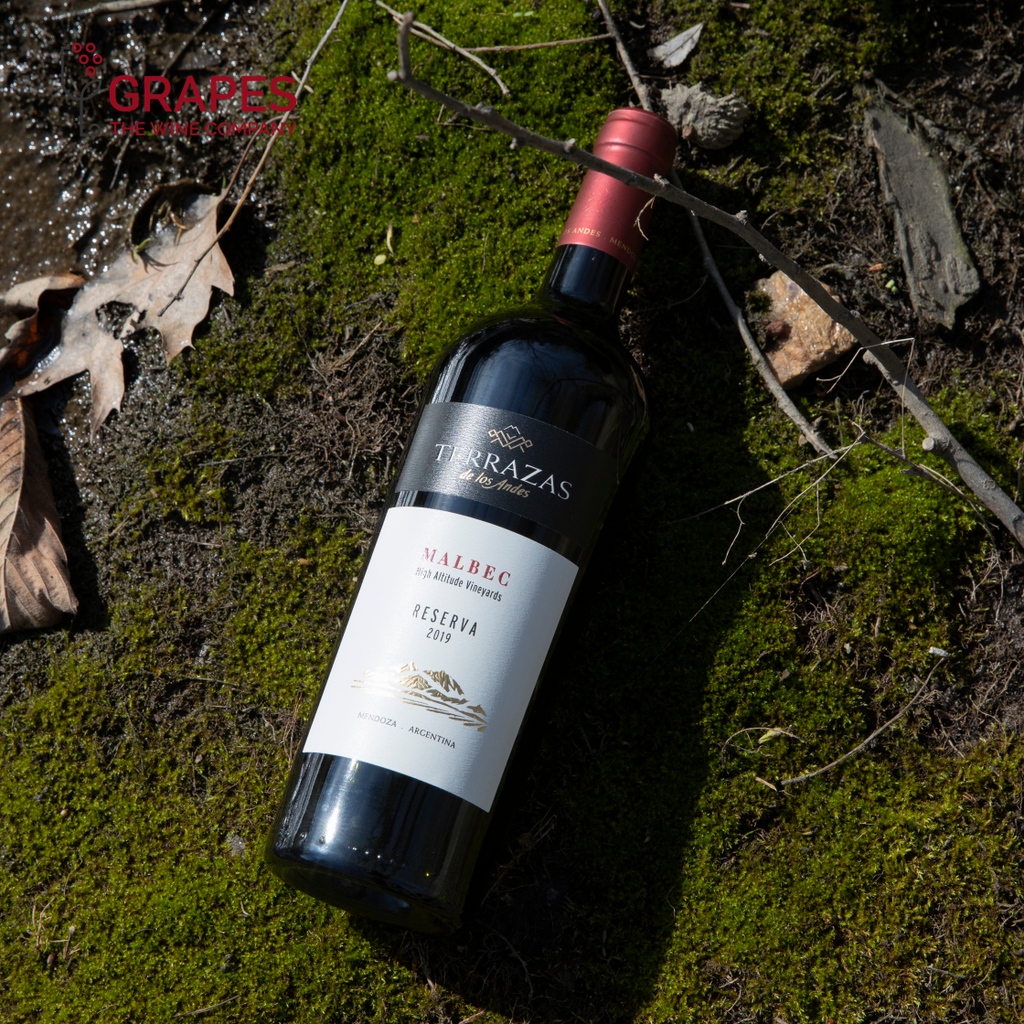 grapestwc's tweet photo. Looking to enjoy a glass of wine and celebrate Earth Day?🌏️ Look no further than Terrazas de los Andes Malbec Mendoza Reserva 2019. Enjoy a glass, while feeling good and taking care of our planet. #EarthDay #WineOClock #MalbecMendoza #Reserva2019
👉🏼https://t.co/vpXNoFzfRF https://t.co/rIzFDQjqUs