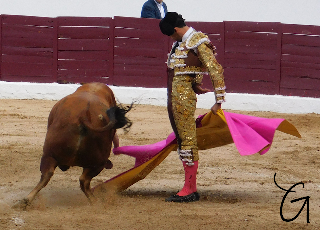 🔵 Juan del Álamo, Mario Palacios y Calerito, en imágenes  

La galería completa a través del siguiente enlace:  

guarismodelocho.com/2023/04/juan-d……

<a href="/CopaChenel/">CopaChenel</a> <a href="/ftorodelidia/">Fundación Toro Lidia</a> <a href="/JuandelAlamoOf/">Juan del Álamo</a> <a href="/PalaciosArevalo/">Mario Palacios</a> <a href="/caleritotorero/">Calerito</a>