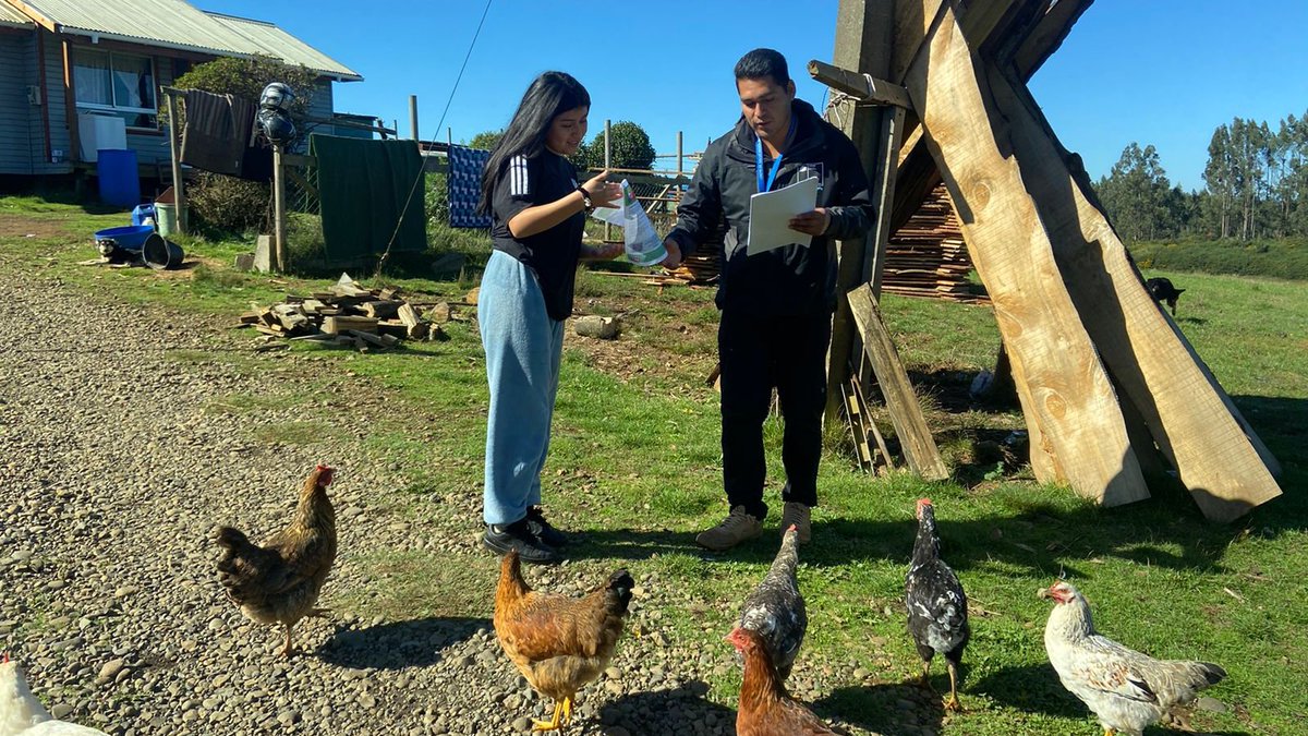 SeremiSalud_IX's tweet photo. 📌 En #IslaHuapi, nuestros facilitadores comunitarios realizaron comunicación de riesgo sobre detección temprana, medidas preventivas y cuidados para prevenir contagios por #InfluenzaAviar
💉Además, entregaron información sobre la campaña de vacunación #COVID_19 e #Influenza https://t.co/BU24kFwHMC