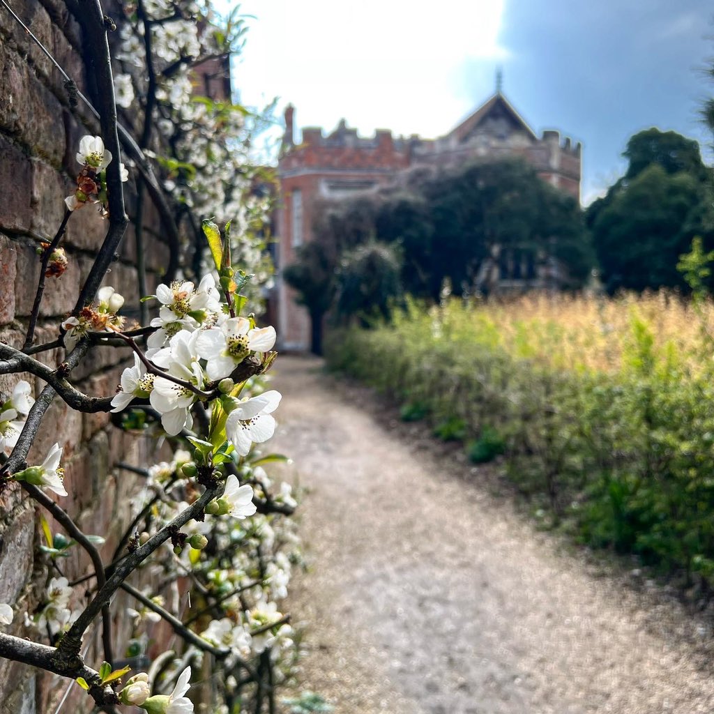 diamond_supreme's tweet photo. Beautiful blossoms at the Vyne #BlossomWatchComp #SpringVibes #daysout https://t.co/K2kO9hP2IE