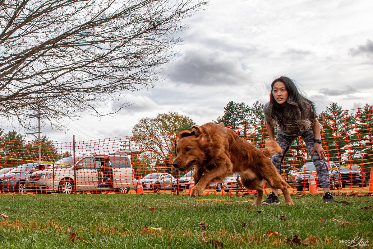 Today is a fast CAT day! We're headed to a new spot so we're looking forward to checking out the location!

What are your plans this weekend?

#goldenretriever #goldenretriever #goldenretrieverlove #goldenretrieveroftheday #runningdog #lurecoursingdogs