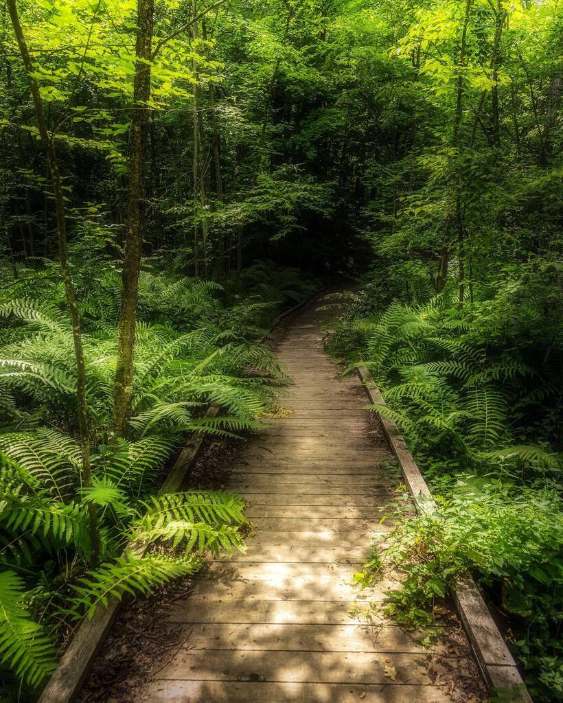 Happy Earth 🌎 Day!
.
A few choice images to honour Mother Earth on her day. 
.
.
.
#tree_magic #tree_brilliance #tree_captures #planetearth #tree_shotz #tree_brillance #tree_perfection #splendid_earth #nature_worldwide_trees #forest_deepness #divine_… instagr.am/p/CrWggB1uc48/