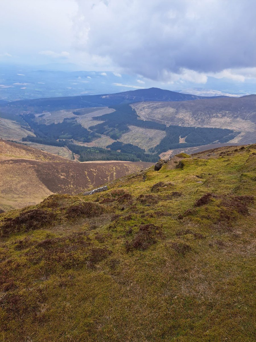 IpaHiking's tweet photo. Well done to 2 of our members, Aidan and Gary, who completed the Knockmealdown Crossing today, guided by Peeks Mountaineering Club and IPA Hiking Club club member Kevin Bowen. A great day was had, well done to all. #hikingadventures #hiking #friends https://t.co/mmIAmSAHWJ