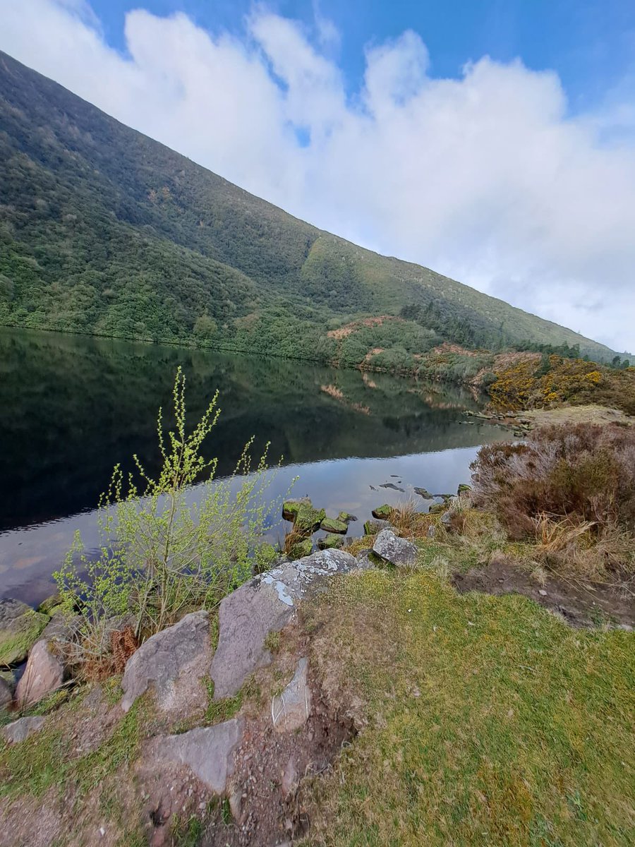IpaHiking's tweet photo. Well done to 2 of our members, Aidan and Gary, who completed the Knockmealdown Crossing today, guided by Peeks Mountaineering Club and IPA Hiking Club club member Kevin Bowen. A great day was had, well done to all. #hikingadventures #hiking #friends https://t.co/mmIAmSAHWJ