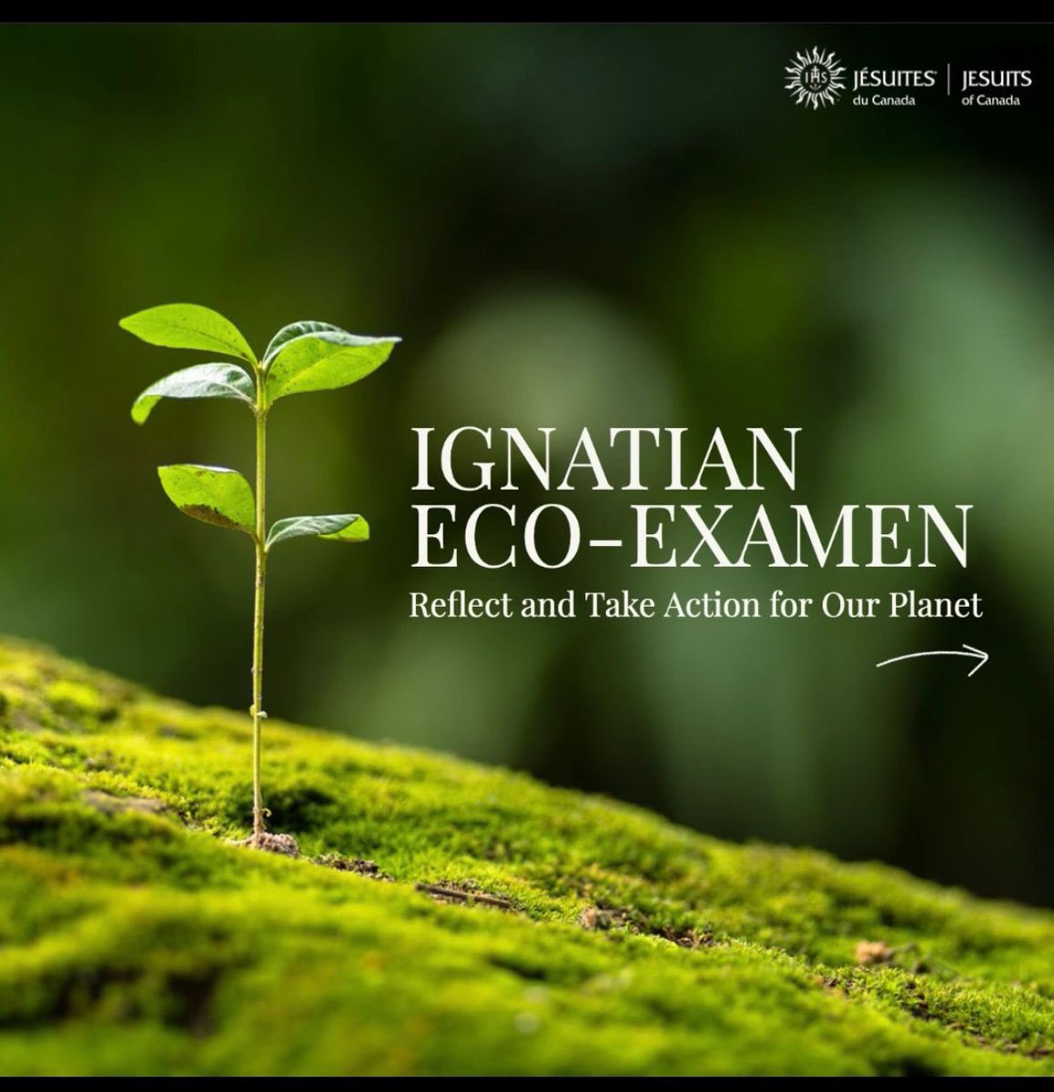 AndresMerino7's tweet photo. Ignatian Eco-Examen https://t.co/wHYOI0p7be