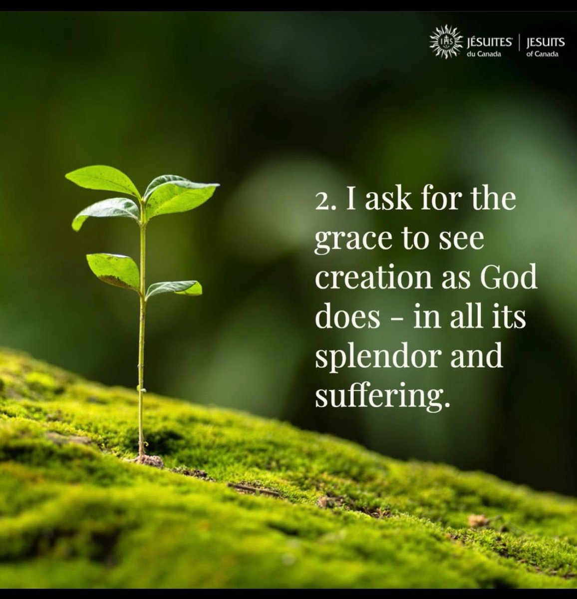 AndresMerino7's tweet photo. Ignatian Eco-Examen https://t.co/wHYOI0p7be